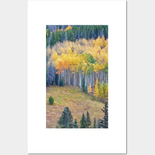 Colors of Fall Posters and Art